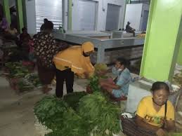 Gambar tersebut bisa anda download langsung, caranya silahkan klik p. Masyarakat Di Pasar Ende Abaikan Protokol Kesehatan R