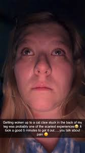 Does any of your spynx actually have solid poop?