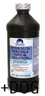 Safe Household Medications Page 5 Of 5 Life And Dog Baking Soda On Carpet Carpet Cleaning Recipes Cleaning Recipes