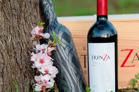 Todos los vinos de Bodegas Trenza