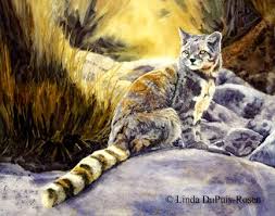 Se agregan miles de imágenes nuevas de alta calidad todos los días. 19 Ringtail Cat Not A Cat Ideas Animals Wild Mammals Cute Animals