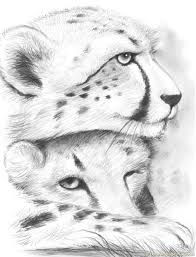 The male cheetah is slightly heavier than the female cheetah. Cheetahs Gregchapin Coloring Page For Kids Free Cheetah Printable Coloring Pages Online For Kids Coloringpages101 Com Coloring Pages For Kids