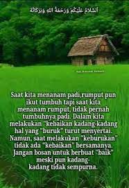 Kumpulan chord / kunci gitar padi. Saat Kita Menanam Padi Kata Kata Motivasi Kehidupan Facebook