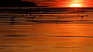 We did not find results for: Pourquoi Le Solstice D Hiver Tombe Ce Dimanche 22 Decembre Et Pas Le 21