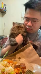 Anak pertamaku 🫶🏻❤️ , 6 Mei 2023 , #cat #phantom #theshadowofphantom