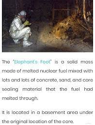 It's called the elephant's foot and weighs hundreds of tons, but is only a couple meters across. 15 Various Facts Info Pictures About The Chernobyl Disaster Ideas Chernobyl Disaster Chernobyl Nuclear Power Plant