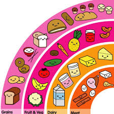 Kawaii Food Food Guide Food Facts Food Pyramid