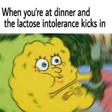 We do a little warning#meme #memes #dankmemes*all videos are intended for entertainment purposes only*tiktok(ran by fans):tiktok.com/@westwardbacon_clipsoffi. 22 Jokes To Send To Your Friends Who Are Lactose Intolerant But Still Eat Dairy Feeling Sick Meme Sick Meme Feeling Sick