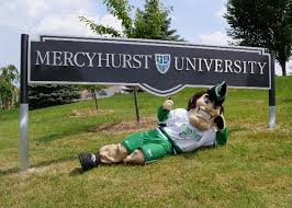 Most college students are willing to enroll at colleges that have vaccine requirements, says survey. It S A Sign We Are Mercyhurst University Mercyhurst University University College Life