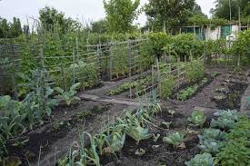 Association Les Jardins D Aujourd Hui Bordeaux