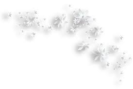 White Flowers Decorative Png Clipart Flower Clipart Clip Art White Flowers