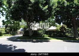 Image result for tbn:t4ZLLlCN9xJaNM::img150.imageshack.us/img150/417/22222222222257683527461cq6.jpg