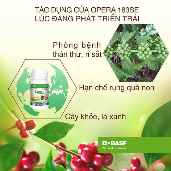 Opera 183SE
