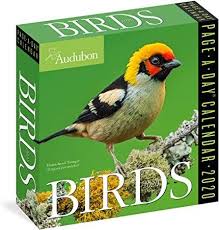 Epub Audubon Birds Page A Day Calendar 2020 Free Epub Books Free Pdf Books Ebook