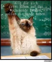 Alle Die Sich Jetzt Schon Auf Das Wochenende Freuen Sollen Die