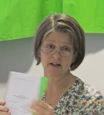 Standortbestimmung beim Neujahrsempfang von Bündnis 90/Die Grünen Memmingen