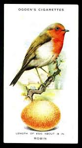 Birds And Their Eggs Pictures Pin On Dekupazh Decoupage Birds