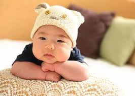 Optimist Dog Park Closed For Maintenance