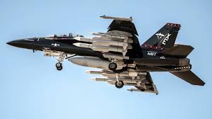 Bird wings inspire new approach to flight safety - Princeton Engineering
