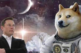 The site owner hides the web page description. Uxl2khutoo9pdm