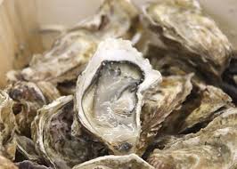 Qui sait combien ya de kilo d'air dans un litre a 500 bar et o°c ? Vente En Ligne Huitre De Vendee La Guittiere O Poisson O Poisson