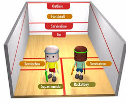 We did not find results for: Basic Guide To Squash