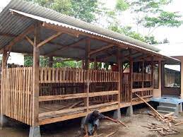 Pondasi terbuat dari kayu kuat. Kandang Kambing Etawa Dari Bambu Ndik Home