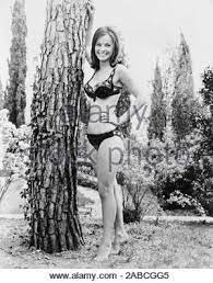 We did not find results for: Laura Antonelli Stockfotografie Alamy