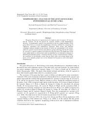 Image result for Monochoria africana