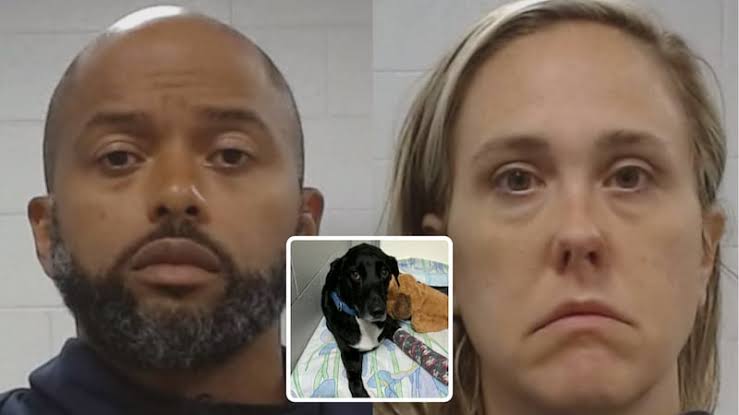 Two arrested in animal cruelty case after injured dog found on I-35