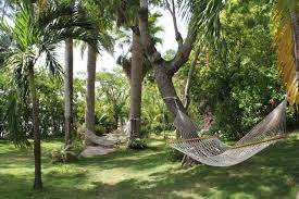 Norm S Place Labadie Haiti Places Outdoor