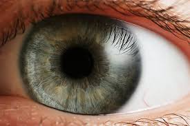 We did not find results for: Just An Eye Drop Of Poison Wired