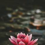 August Body/Mind Reset