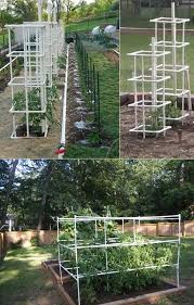 Waiting to plant the cucumbers until after you build the trellis prevents your cucumbers from getting root damage. Pin On Best Gardening Ideas