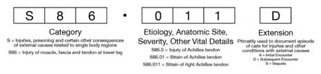 Icd 10 Physical Therapy Guide To Icd 10 Codes Webpt
