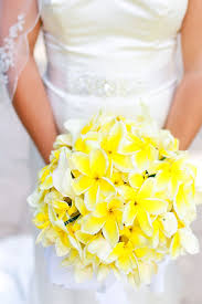 White calla lilies on black background. Yellow Plumeria And White Calla Lily Bouquet