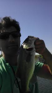 Any tips for fishing with a penguin rig?