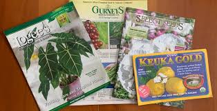 Contact us today to schedule a tour and learn more about what makes homestead gardens the perfect place to call home. Best 2020 Garden Catalogs And Websites Home Garden And Homestead