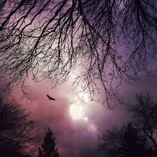 Sunset Birds Flying In The Sky Painting Dramatic Sky Photo Fine Art Decor Bird Flying Photograph Nature Purple Pink Landscape Surreal Dreamy Home Spirit Animal Spiritual Sunset Sky Photos Sunset Wall Art Landscape Wall Art