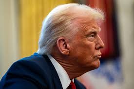 Trump administration tells agencies they can ignore Musk order