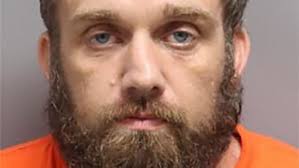 Stolen car chase ends in arrest and death of 12 geese, deputies say