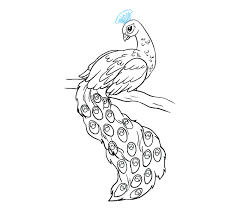 This is going to make him look like it's. How To Draw A Peacock In A Few Easy Steps Easy Drawing Guides