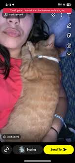 Pumpkin damage in Fincastle, VA