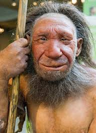 Adventurous human woman' wanted to give birth to Neanderthal man by Harvard  professor | Daily Mail Online
