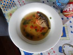 Image result for Stylochaeton tortispathus