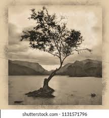 Maybe you would like to learn more about one of these? Digital Pencil Drawing Beautiful Landscape Image Stock Illustration 1131571796