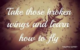 Quotes About Wings. QuotesGram via Relatably.com