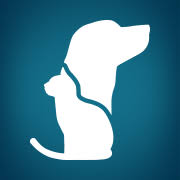 Second chance pets, league city, texas. Second Chance Pet Adoptions Home Facebook