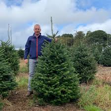 Fully insured, with over 30 years experience we strive to provide professional and. Real Christmas Trees Billingley Christmas Tree Farm Yorkshire