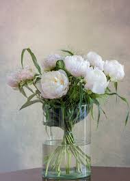 Pfingsten bilder grusse und spruche. Frohe Pfingsten Foto Bild Natur Blumen Pfingstrosen Bilder Auf Fotocommunity